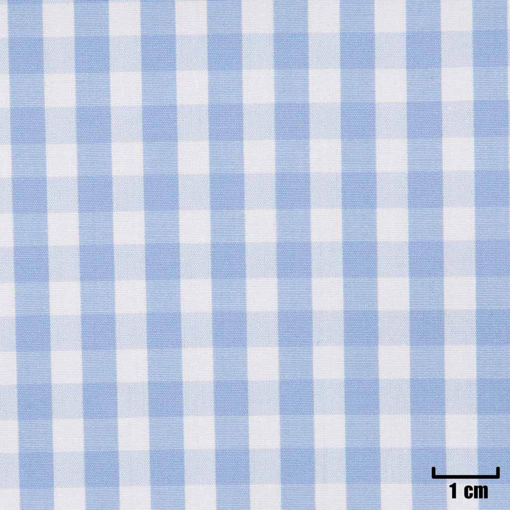WHITE, SMALL BLUE CHECKS