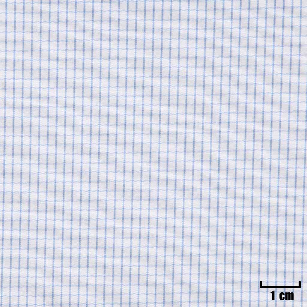 WHITE, SMALL BLUE CHECKS