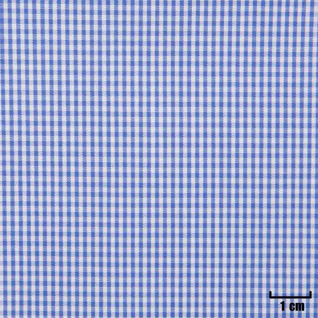 WHITE, SMALL BLUE CHECKS