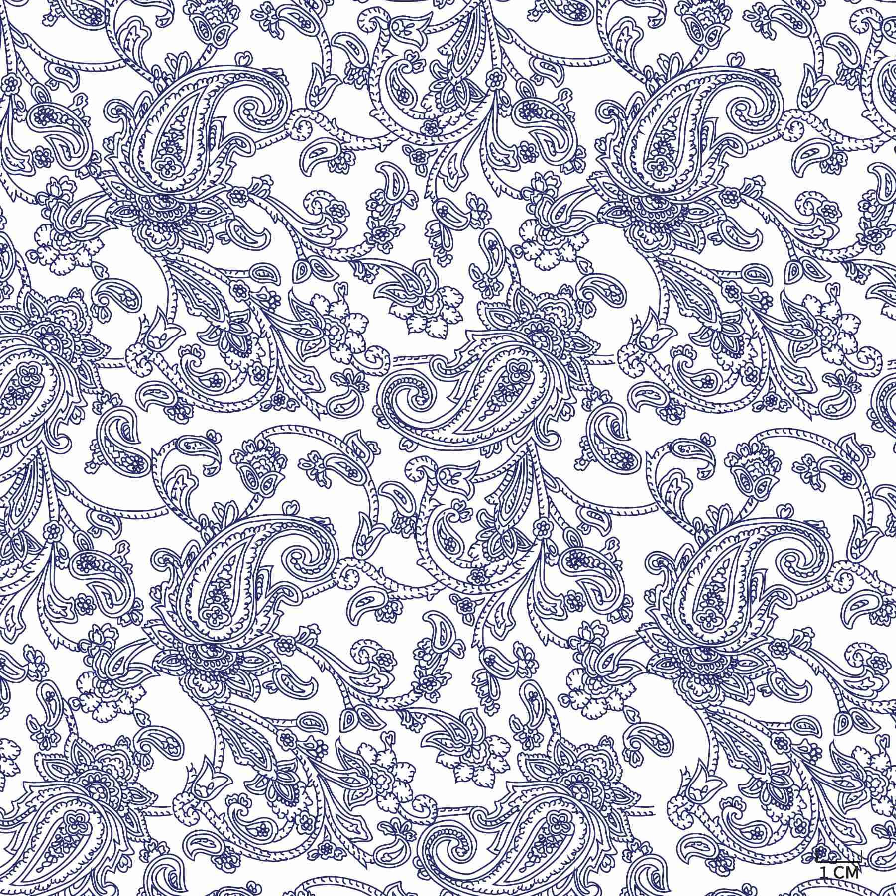 WHITE, BLUE/WHITE FLOWER