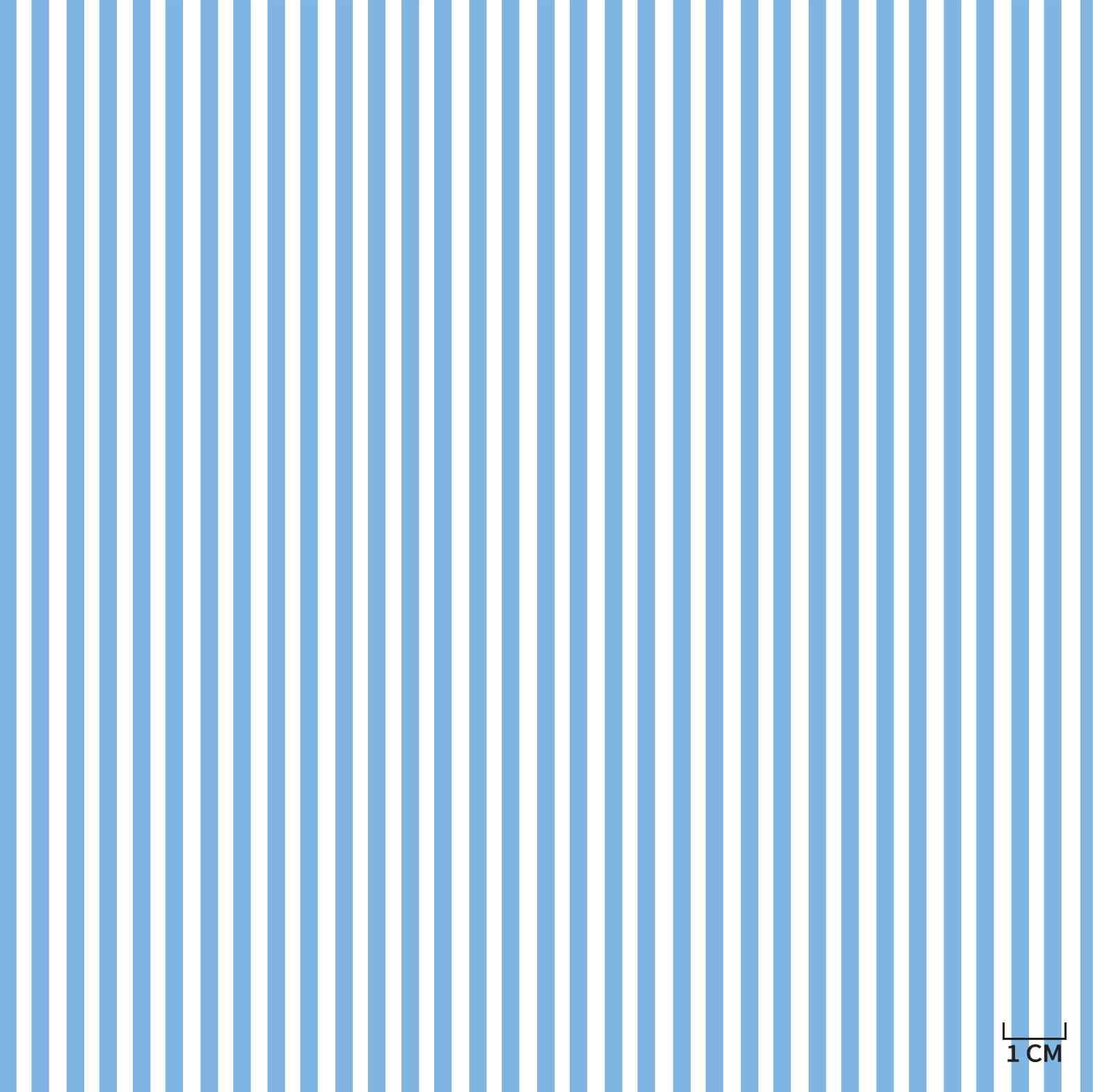 BLUE/WHITE STRIPES/LINING