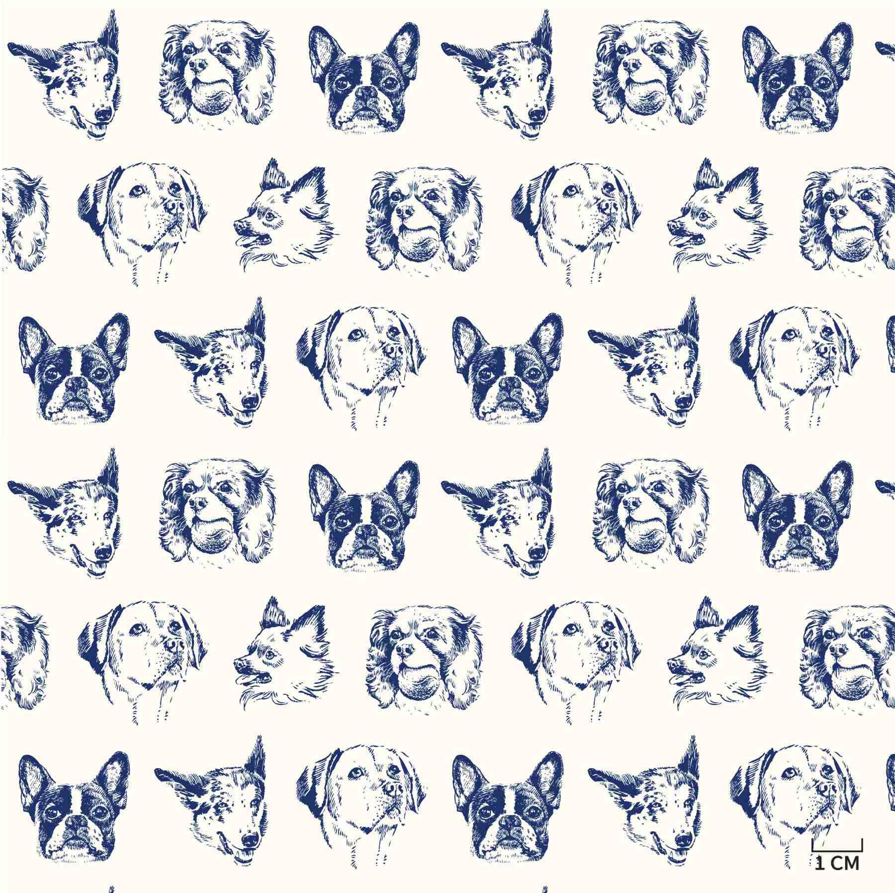 BLUE, DOGS PATTERN